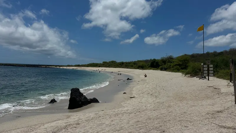 Sandy shoreline and turquoise water on San Cristóbal