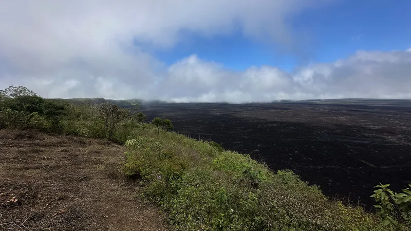 Caldeira e vegetação nas terras altas vulcânicas de Isabela