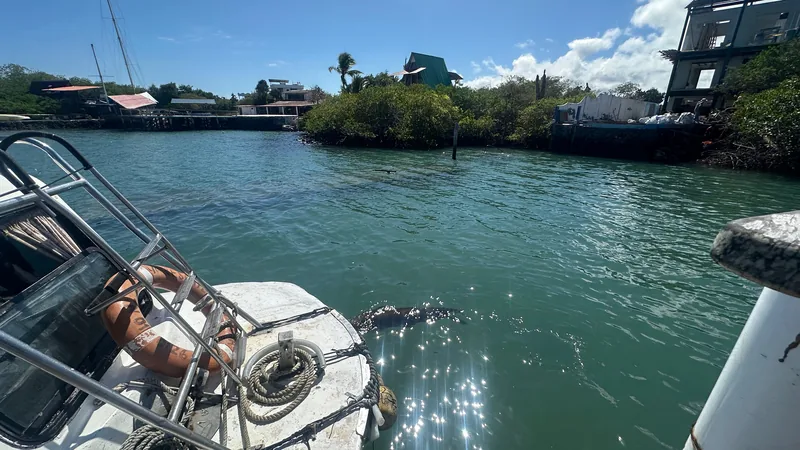 Vista da baía de Puerto Ayora a partir de uma embarcação
